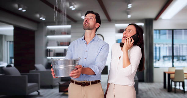 Best Commercial Water Damage Restoration in Maynardville, TN